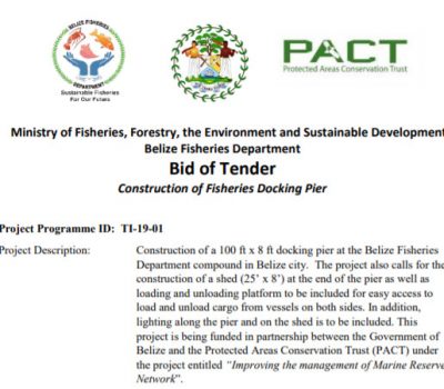Bid of Tender: Construction of Fisheries Docking Pier