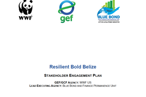 Resilient Bold Belize: Stakeholder Engagement Plan