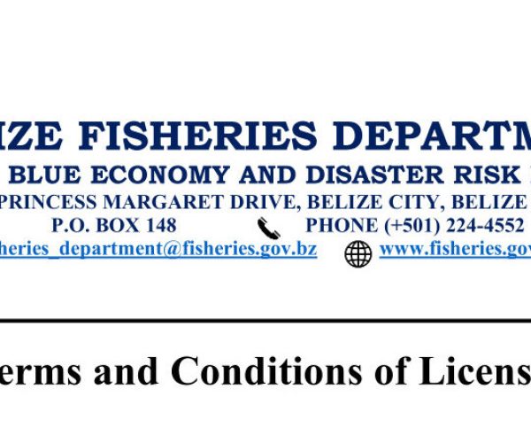 Terms and Conditions of License 2025